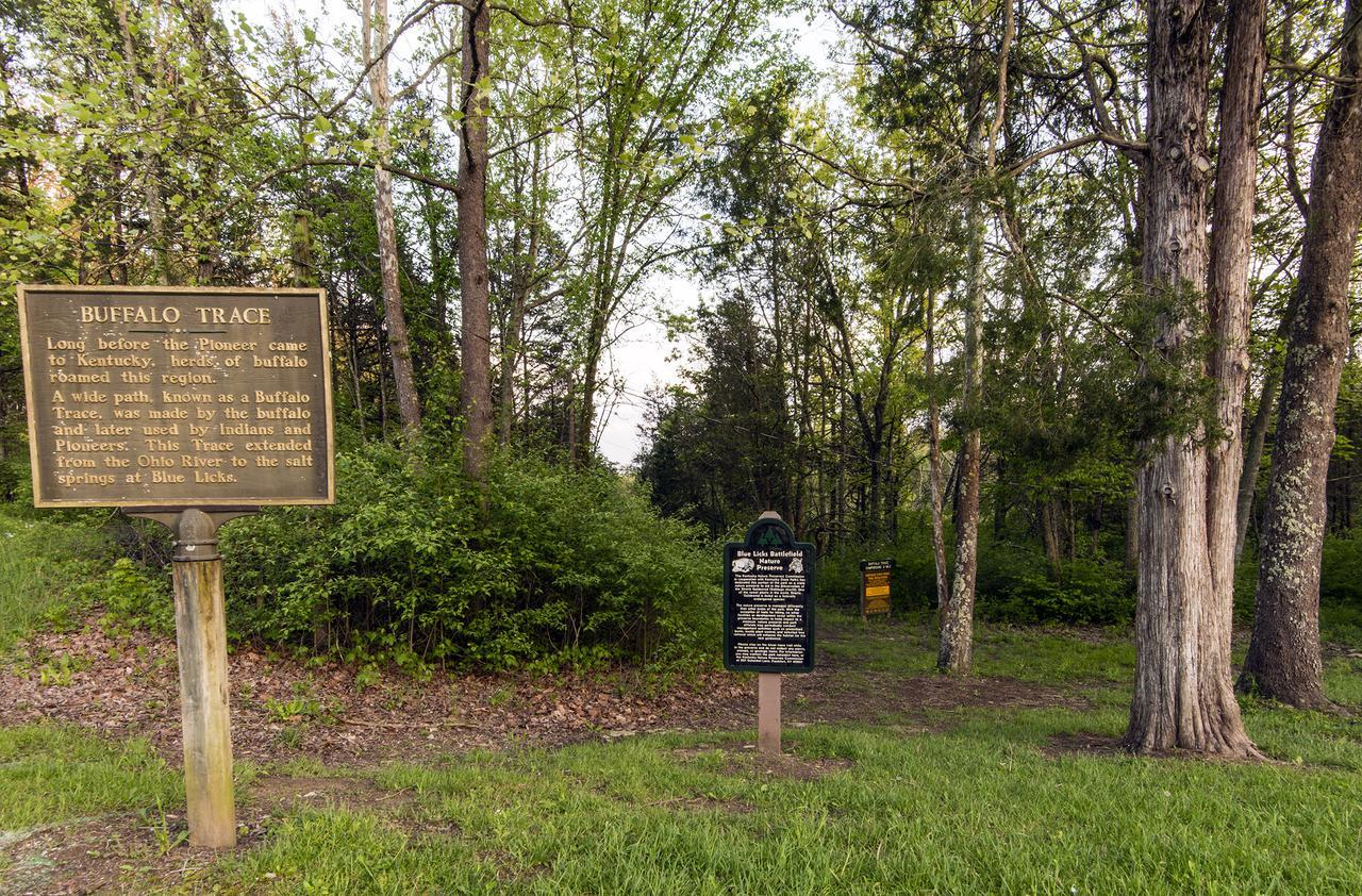 ホテル Blue Licks Battlefield State Park Carlisle エクステリア 写真